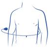 Circumference under chest